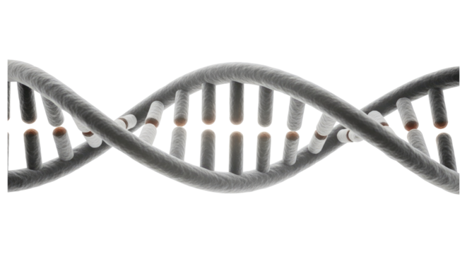 A DNA Helix Isolated on Transparent PNG Background.