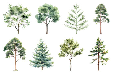 PNG Watercolor trees diverse nature collection, element set on transparent background