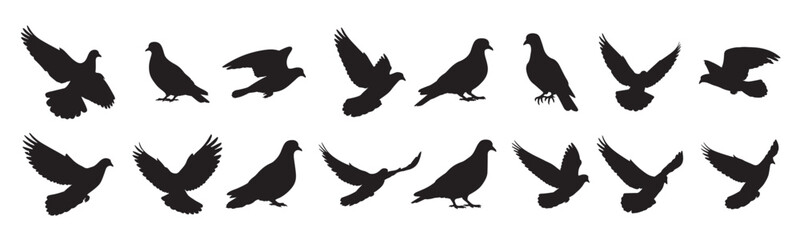 doves silhouette white background