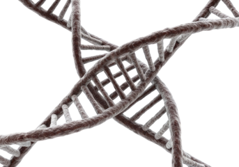 Dynamic View of the DNA Helix, Symbolizing Life and Science Isolated on Transparent PNG Background.