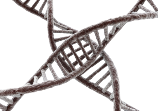 Dynamic View of the DNA Helix, Symbolizing Life and Science Isolated on Transparent PNG Background.