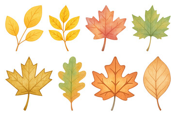 Fototapeta premium PNG Colorful autumn leaves illustration, element set on transparent background