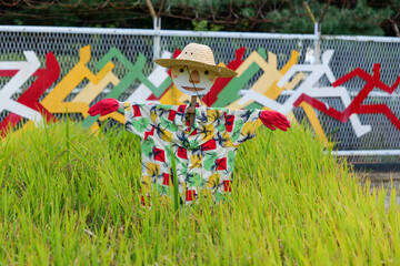 허수아비, 여름, 목초, green, 다채로운, 네이처