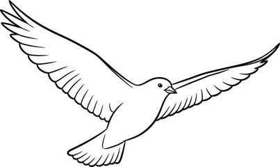 Fototapeta premium A simple black and white line drawing of a dove in flight with its wings spread wide.