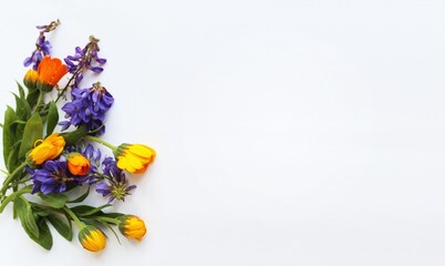 Flowers composition on white background. Flat lay, top view, copy space