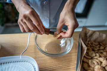 Hands brushing fresh mushrooms over glass bowl, removing dirt before drying process. Homemade preparing honey mushrooms for dehydrator cleaning after forest. Natural vegetarian seasonal harvest.