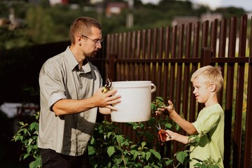 A father and son work together in the garden, with the boy helping care for plants. Unfiltered, authentic photography capturing real family bonding and outdoor learning