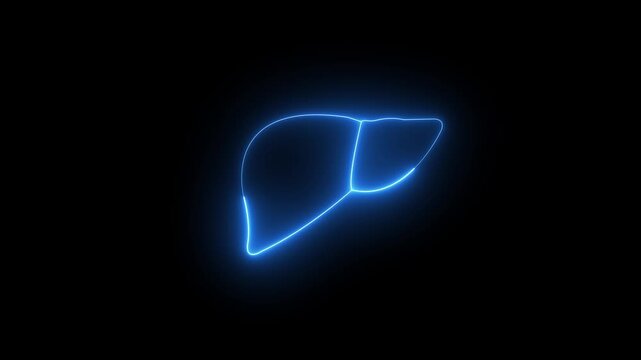 Liver function: vital organ, detoxification role, metabolic activity, bile production ,glowing line out liver with a digital hologram on dark background, liver disease and digestive health concepts