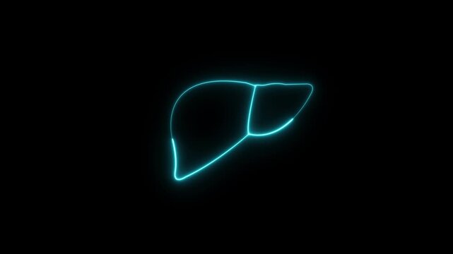 Liver function: vital organ, detoxification role, metabolic activity, bile production ,glowing line out liver with a digital hologram on dark background, liver disease and digestive health concepts
