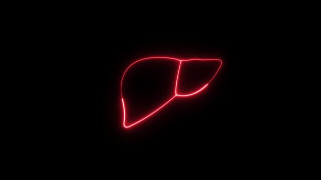 Liver function: vital organ, detoxification role, metabolic activity, bile production ,glowing line out liver with a digital hologram on dark background, liver disease and digestive health concepts