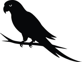  parrot on branch vector, colorful bird silhouette illustration