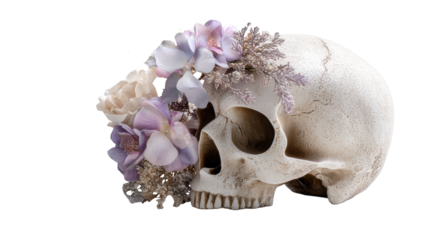 Skull with Floral Crown on Transparent Background