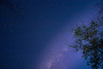 Milky Way Over the Savanna of Sumba 