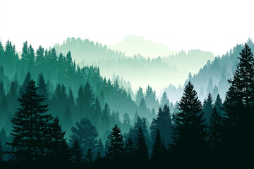 Fototapeta premium Misty mountain forest scenic view evergreen trees nature landscape