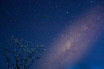Obraz premium Milky Way Over the Savanna of Sumba 