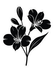 Black silhouette of alstroemeria flowers and leaves on white background