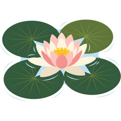 Obraz premium Beautiful Twin Water Lilies