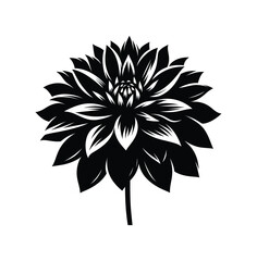 Monochrome Marvel A Captivating Dahlia Flower in Striking Black and White An Elegant Botanical Illustration of Floral Beauty and Simplicity
