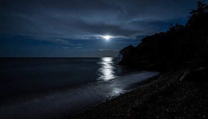 Moonlight beach scene