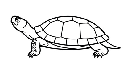 Simple line drawing of a turtle in profile