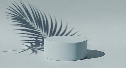 Minimal Product Display Podium with Palm Leaf Shadow