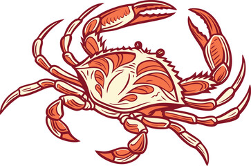 Realistic Crab Illustration. Colorful Crab Artwork. Marine Crab Clipart Design. Detailed Crab Creative Illustration. Crab Animal Illustration Artwork. Coastal Crab Ocean Drawing. Tropical Crab