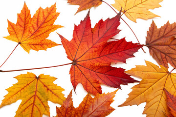 Pile of autumn leaves isolated on AI Generated
