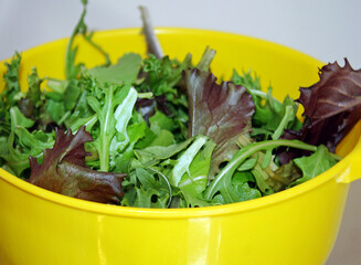 Bowl of fresh organic spring mix leaf lettuce 