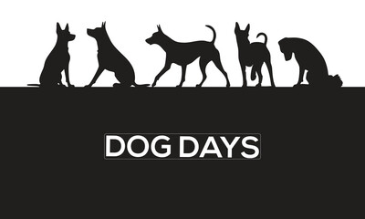 Elegant Woman Walking Dogs Silhouette Vector – Stylish Pet Walking Illustration