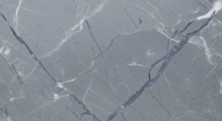 Detailed Gray Marble Texture with Intricate Veins