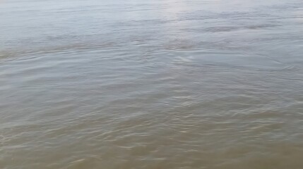 Obraz premium Calm river flowing with small ripples on a cloudy day