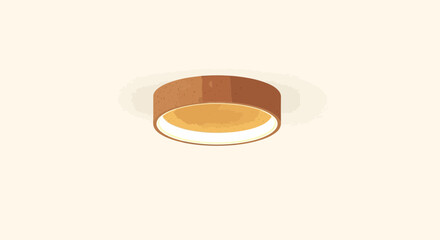 Stylish Ceiling Lamp for Home Interior Lighting Decorative Design