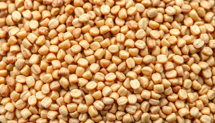 Close-up of raw buckwheat groats, showing texture and color,  cooking,  preparation