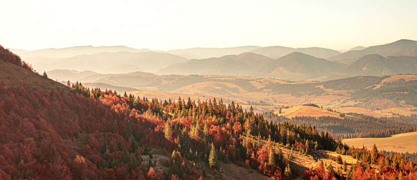 A breathtaking panoramic view of a mountain range in the Carpathian Mountains during a hazy autumn sunset, with vibrant fall foliage on the hillsides illuminated by the warm, golden light. - Powered by Adobe