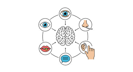 Understanding the five senses and how they connect to the human brain and consciousness.