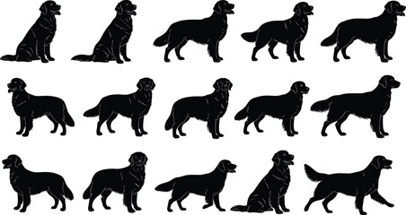 Dog silhouette collection, black retriever poses, sitting, walking, turning, pet posture set, animal outline, vector graphic, isolated, editable