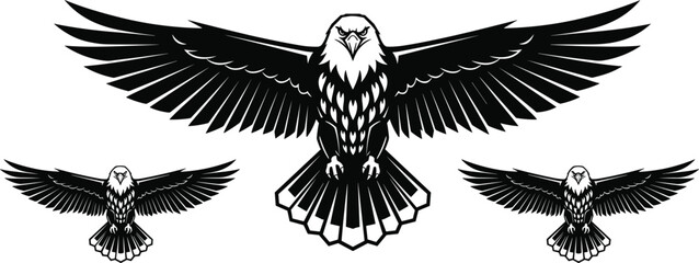 Eagle illustration, graphic eagle, symmetrical design, bold wings, fierce bird, geometric feathers, wildlife art, freedom symbol, majestic raptor, vector animal © Joyaber's World
