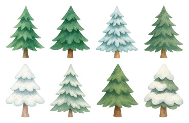 Fototapeta premium PNG Watercolor evergreen trees collection, element set on transparent background