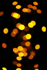 New Year's fireflies