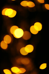 New Year's fireflies