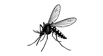 Sharp Silhouette outline of a Mosquito