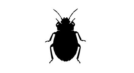 Black and white silhouette of a bedbug  on a white background