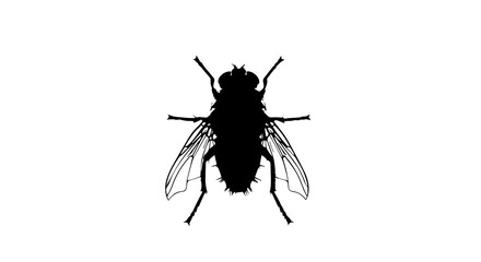 Simple Silhouette art of a Housefly