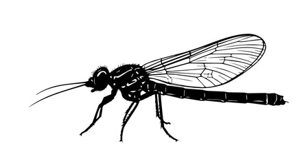 Elegant Dragonfly Silhouette for Transparent Nature Artwork