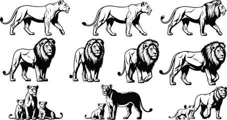 Lion, lioness, cubs, wildlife, animal family, African savannah, nature, predator, majestic, illustration, black and white, group, pose, behavior, feline, pride, sketch, standing, walking © Joyaber's World