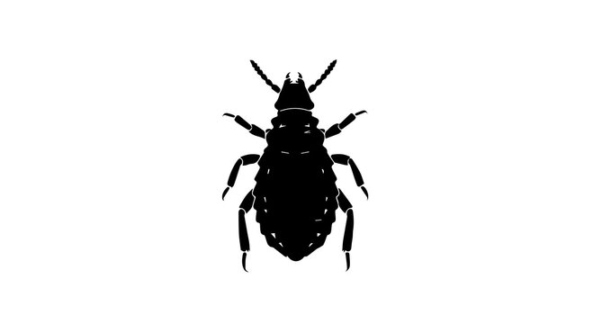 Black and white silhouette of a bedbug  on a white background