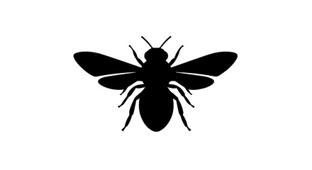 black and white honey bee silhouette on a white background