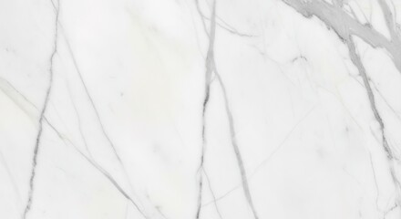 Obraz premium Elegant White Marble Texture with Grey Veining