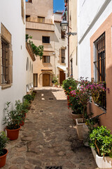 Narrow alley in tossa de mar, Spain old town featuring white walls, cobblestone, and abundant plants