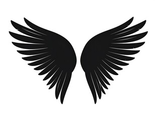 Fototapeta premium Pair of stylized black wings